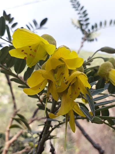 Photos of Camping Cerro Viejo