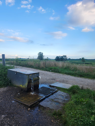 Artesian Spring Well - Visual