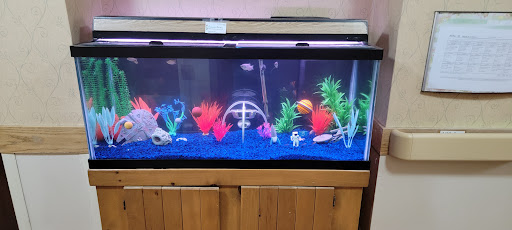 Awesome Aquatics - Visual