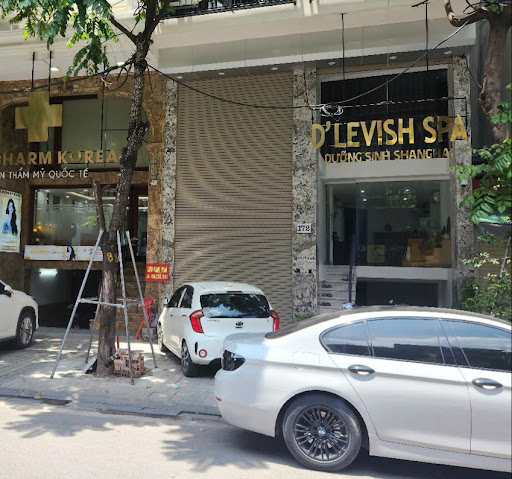D’LEVISH