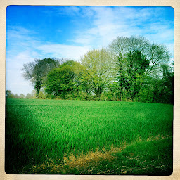 Photo n°15 de La Grosse Talle à Sepvret (Appartement de vacances)