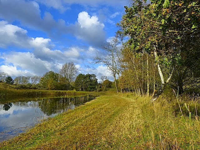 Amsterdamse Waterleidingduinen