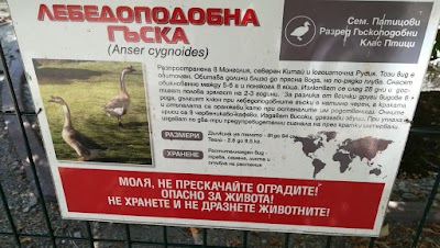 Photos of Zoo Pazardzhik