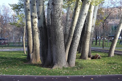 Kılıçarslan Park Picnic Area