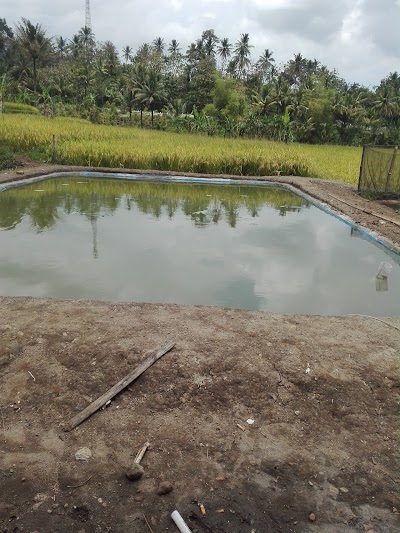 Photos of IKHWAN CATFISH & KOI FARM