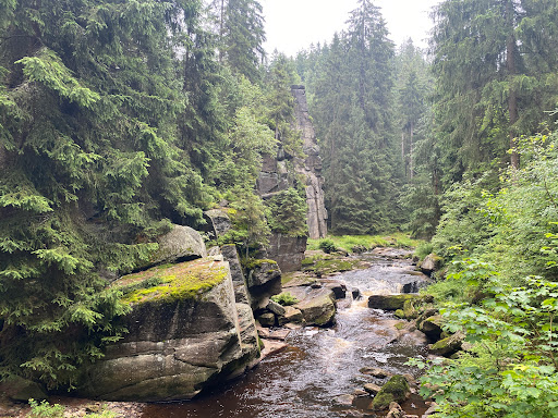 Schwarzwassertal - Visual