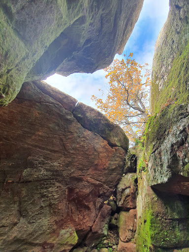 Cova d'en Pere - Thumbnail