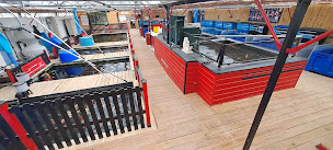 Photo n°38 de Normandie koï à Bernières (Fournisseur de poissons en bassin)