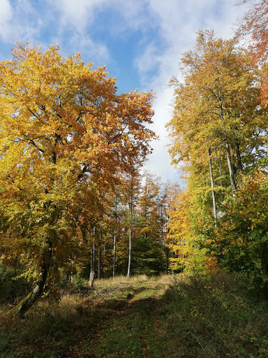 Kasseler Meeressand - Thumbnail