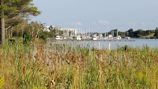 Barkers Island Beach - Thumbnail