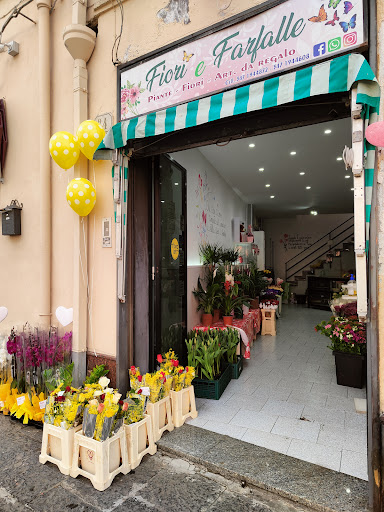 "Fiori e Farfalle" di Grasso Giuseppe
