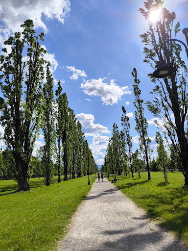 Giardini Ducali - Visual