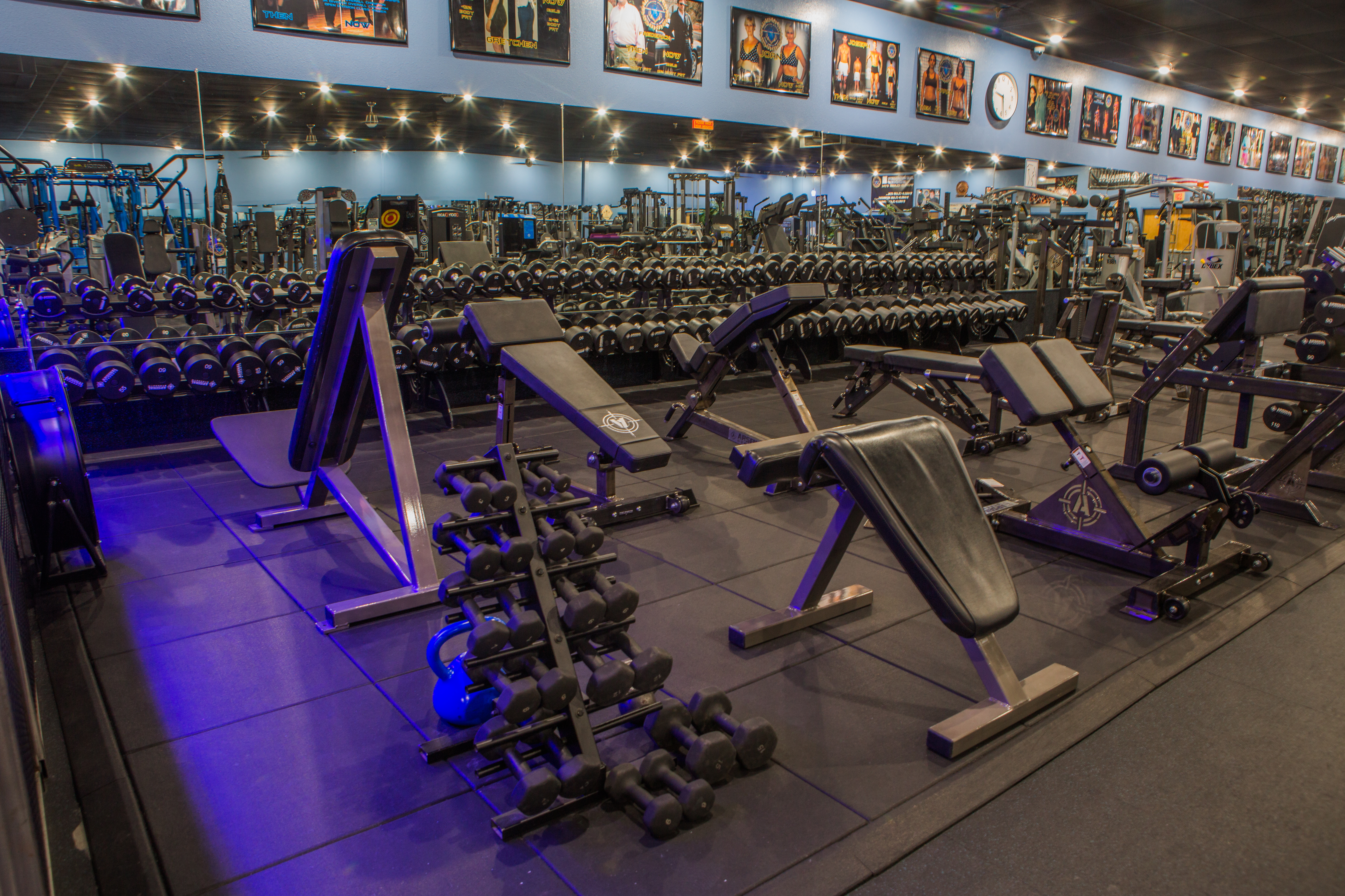 Designer Bodies 'WORLD CLASS GYM' photo 2