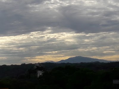 Photos of MJ Market