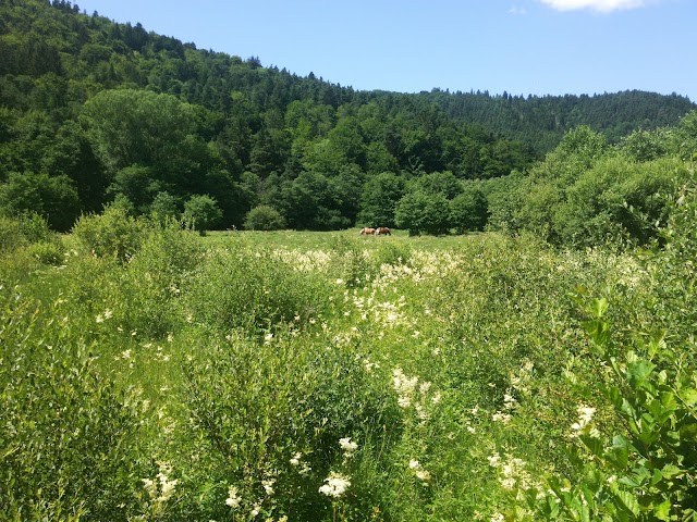 Point de vue Roches Tuilière et Sanadoire