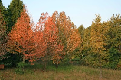 Photos of Drakenzicht