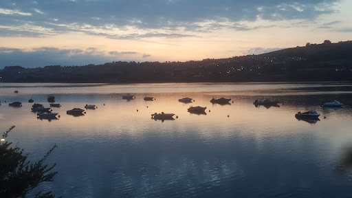 River Teign - Visual