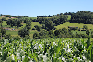 Photo n°10 de Labyland à Haute-Rivoire (Attraction touristique)
