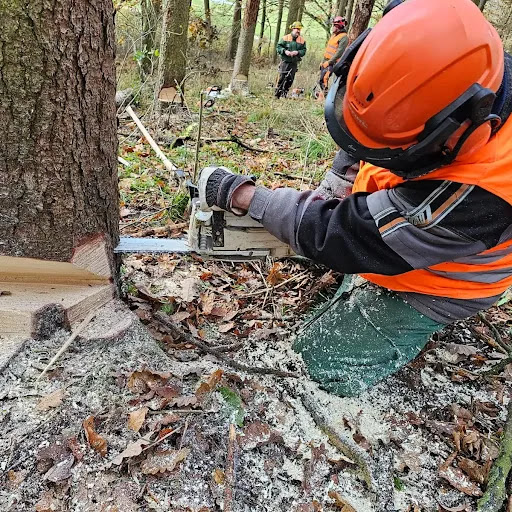 Cutting Coach - Motorsägekurse