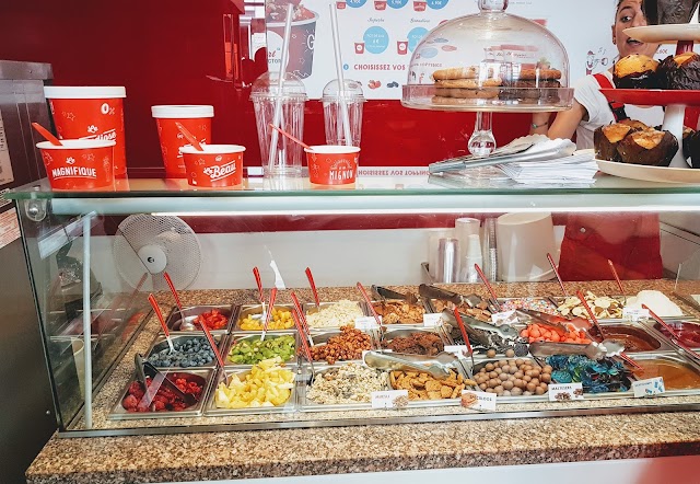 Yogurt Factory