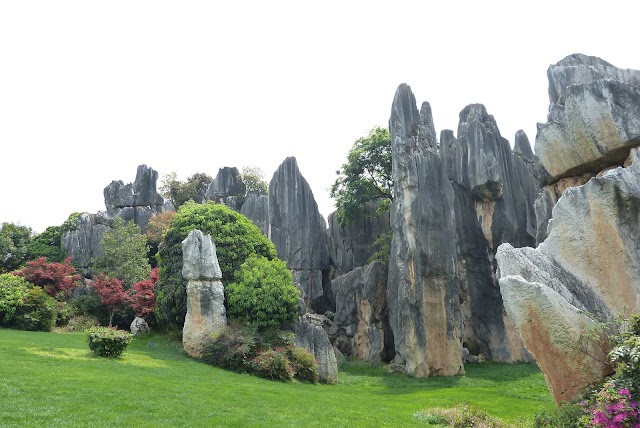 Place around image