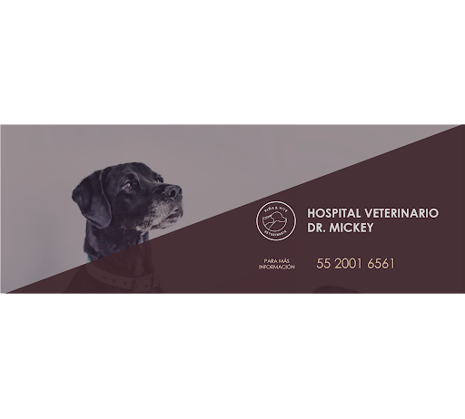 Hospital veterinario BASE DELFIN II
