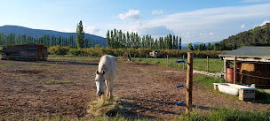 Photo n°10 de Aux Tournesols à Malaucène (Gîte)