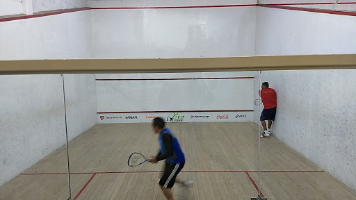 Viva Squash - Visual