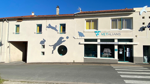 VetAlians Puy-Guillaume