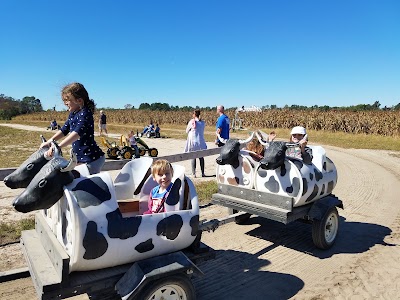 Photos of Clinton Sease Farm