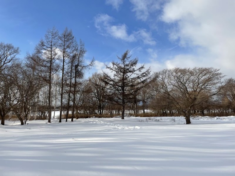 茨戸川キャンプ場