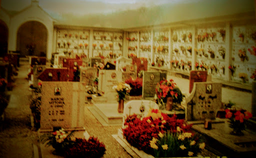 CIMITERO SARMEDE - Visual