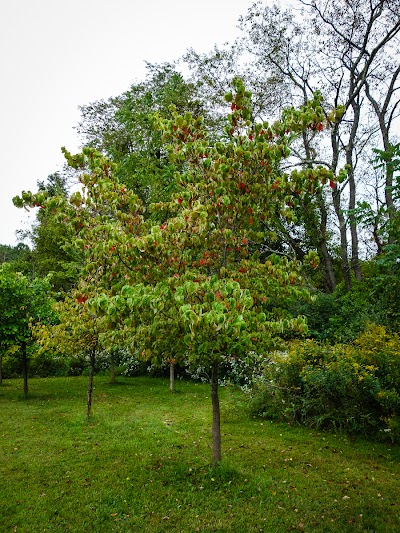 Kittatinny Valley Campsite