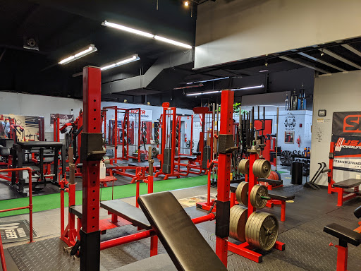 TITANIUM STRENGTH - Visual