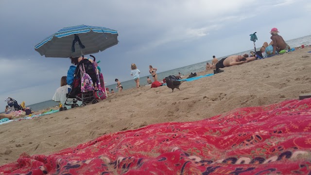 Playa Paseos Chulos!