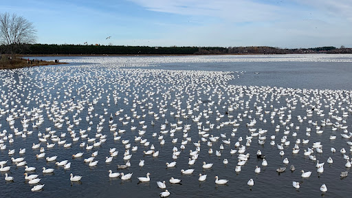 Park of the Beaudet Reservoir - Thumbnail