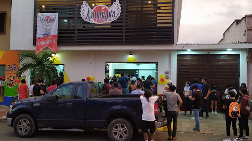 Animundo - Visual