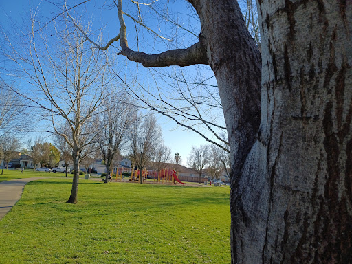 David A. Simpson Park Gallery - United States