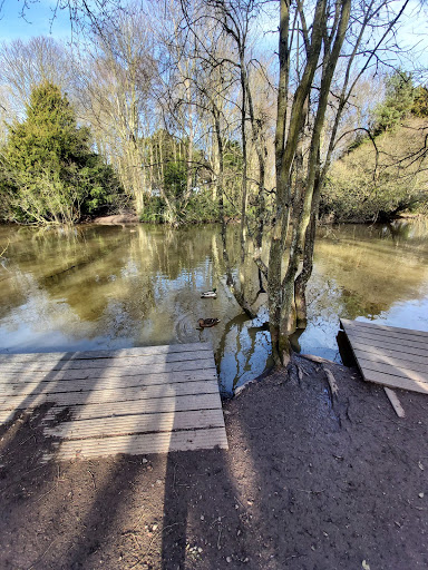 Tarvit Pond Walk