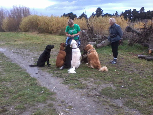 The Dog Walker - Thumbnail