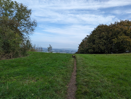 Coopers Hill nature reserve