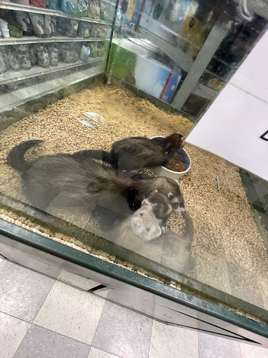 Walter's World of Pets Gallery - United States