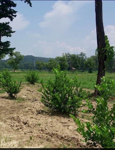 Photos of Panthee Agro Farm Pvt Ltd.