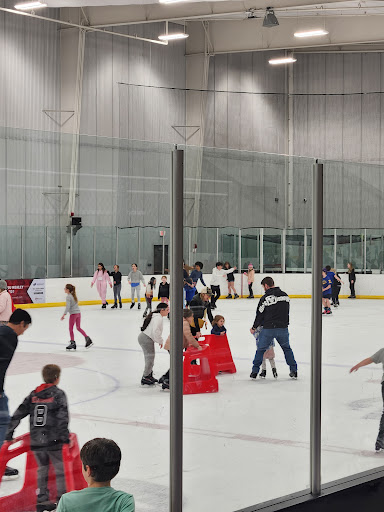 RecPlex - Visual