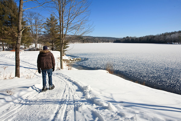 Rabbit Hill Inn by null
