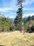 Jover Paysage - Création et Entretien Paysager à Lalley