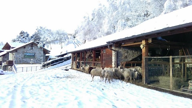 Agriturismo Giacomino