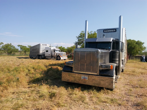 Lambshead Ranch - Visual