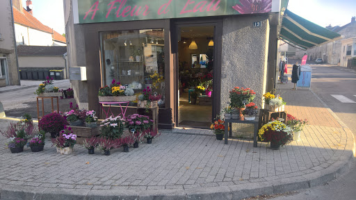 Photo de Les Loisirs Du Salon à Dampierre-sur-Salon (70180)