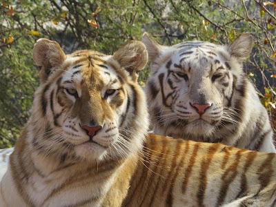 Photos of Mbidi Resort & Animal Sanctuary